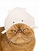 Kitan Club Aquarium Cat Cap - Pet Hat Blind Box Includes 1 of 6 Cute Styles - Soft, Comfortable and Easy-to-Use Kitty Hood - Authentic Japanese Kawaii Design - Animal-Safe Materials, Premium Quality
