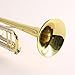 Legacy TR750 Intermediate Trumpet w/ Deluxe Convertible Case