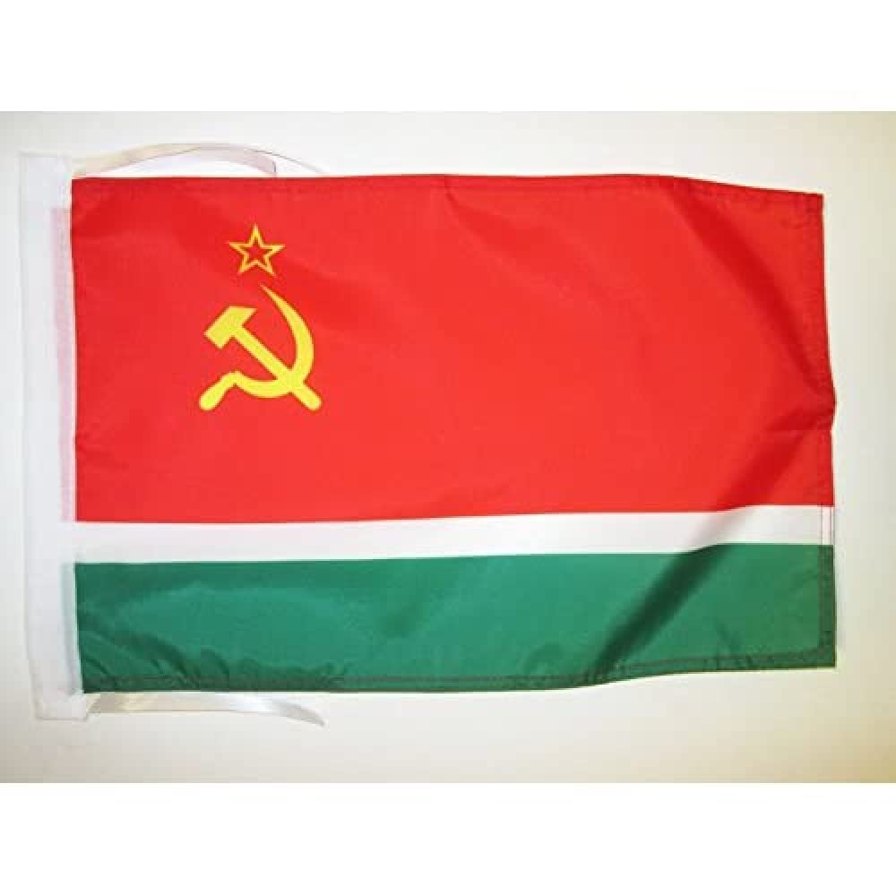 AZ FLAG - Lithuanian Soviet Socialist Republic Flag - 18'' x 12'' - 100% Polyester Lithuania SSR Small Banner with Two Cords - Fade Resistant - Vivid Colors - 18x12 in - 45x30 Cm โ image 1