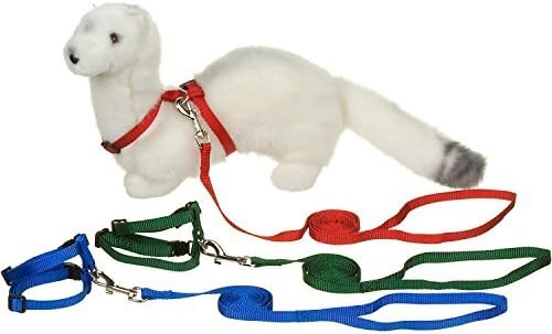 PETCO Deluxe Ferret Harness and Lead Set, Color:Assorted by Ferret Frenzy