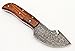 GladiatorsGuild 64 Custom Handmade Damascus Steel Skinner Hunting Knife Fixed Blade Small Skinning Knife with Gut Hook (Walnut Wood)