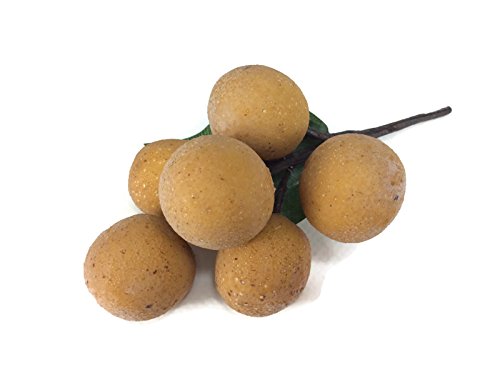 perfect2desire Longan Artificial Fruit Lifelike Simulation Leaves Faux Fake Fruit Home Kitchen Cabinet Decoration Realistic Clay Assortment