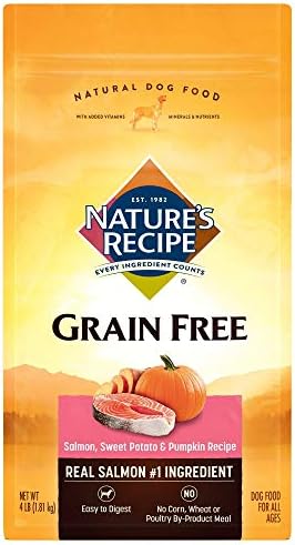 natures recipe dog food salmon