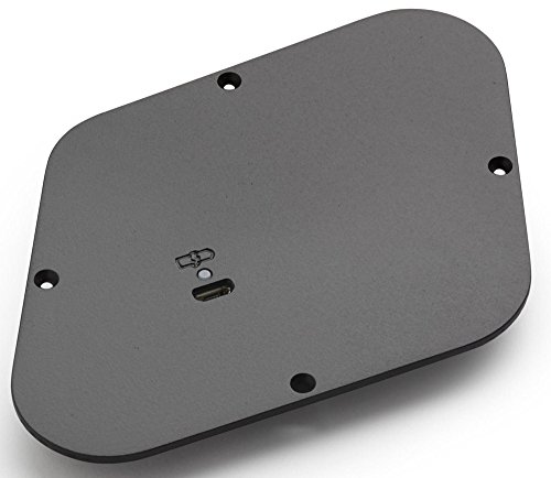 Fishman Fluence Rechargeable Battery Pack for Les Paul