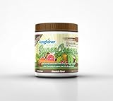KingFisher Naturals Chocolate-Flavored SuperGreens - Contains 50 Super Foods, Certified Vegan, 225g Powder, 30 Day Supply