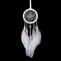 Dream Catcher, Handmade Wall Hanging Decor Ornament Craft- Decorations Creative Gifts（Pink- Colorful (Colorful)