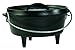 Lodge Camp Dutch Oven, 2 Qt primary