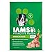 IAMS PROACTIVE HEALTH Adult Minichunks Small Kibble High Protein Dry Dog Food with Real Chicken, 15 lb. Bag primary