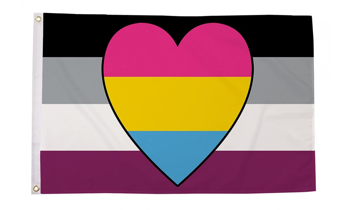Asexual Panromantic Heart Flag - 5 x 3 FT -100% Polyester With Eyelets - LGBTQ Pride FlagSuperstore