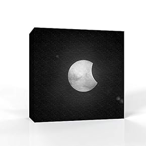 signwin - Canvas Wall Art - Moon Illuminating...