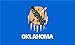 Oklahoma 3ft x 5ft Printed Polyester Flag Sooners 3x5 3 x 5
