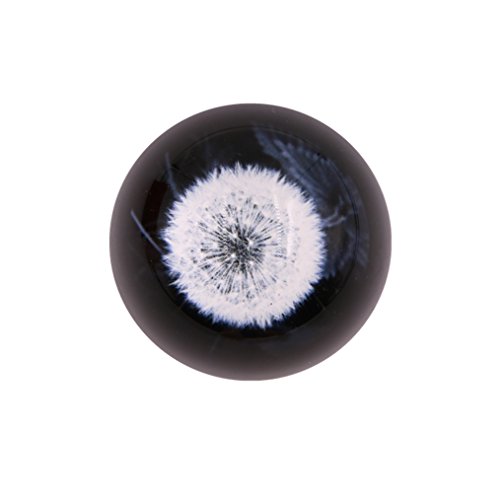 image for Ymeibe Dandelion Paperweights Crystal Nature Under Glass Globe Hemisph