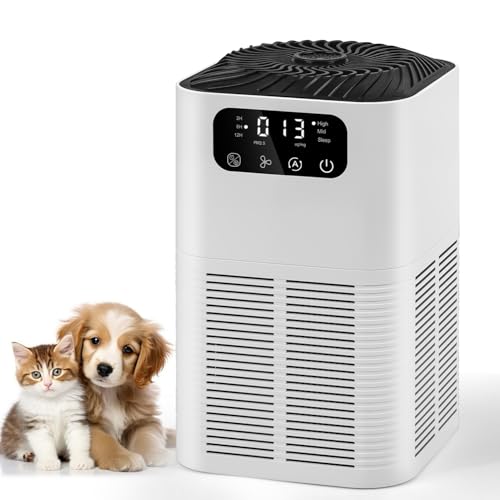 110 V Purificador de Ar para Quarto, Purificador de Ar para e Animais de Estimação, Ionizador de Ar Negativo