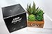 Quality Inspired Artificial Succulent Plants, Fake Succulent Plants for Home, Office or Shelf Decoration. These Artificial Plants Come in a Decorative Box, Great Gift idea.