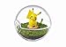 Re-Ment Pokemon Pikachu terrarium collection miniature 6 pieces per BOX