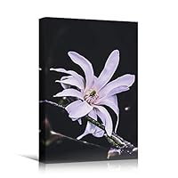 Canvas Wall Art Pink Fields Bohemian Colorful Floral Group Multicolor Photography - 12x18 inches