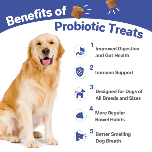 BlueBiology Canine Probiotic Chews for Dogs Vet Formulated for