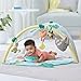 Skip Hop Baby Play Gym with Soother, Tropical Paradise, Green
