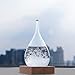 GGPOWER Storm Glass Water Drops Weather Forecast Bottle Storm Bottle Meteorological Display Bottle Creative Glass Crafts Home Decoration (Mini 6-12)
