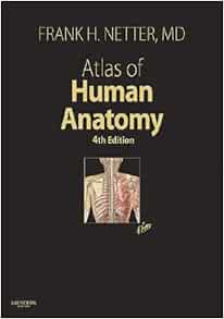 Atlas of Human Anatomy, 4th Edition: 9781416036999: Medicine & Health