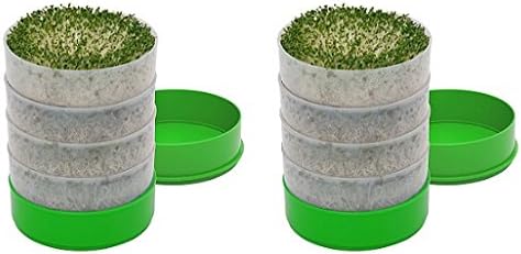 Deluxe Kitchen Crop 4-Tray Seed Sprouter by VICTORIO VKP1200 (2-(Pack))