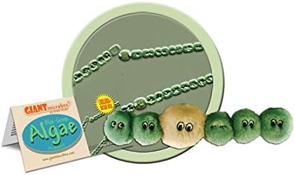 GIANTmicrobe Plush Anabaena Algae