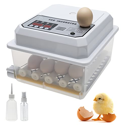 Patioer Egg Incubator 16 Eggs Chicken Incubator Egg Hatcher Machine