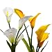 Marcoah Upgraded Solar Flower Lights - Outdoor Waterproof LED Flowers for Garden, Path, Landscape, Patio, and Lawn (Calla Lily, Yellow and White) - 2 Pack