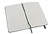Moleskine Classic Notebook, Pocket, Ruled, Oxide Green, Hard Cover (3.5 x 5.5)