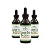 Institute for Vibrant Living Green Tea Elixir, Green Tea Concentrate (20 Cups per couple of drops), Liquid Vitamin - Immune Booster - 3 Month Supply