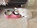 Dog And Cat Stainless Steel Double Diner Food Water Bowl Pink Small