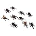 MonkeyJack 10pcs Vivid Plastic Animal Small Figure Toy Fake Insect Bug Beetles Model