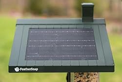 FeatherSnap Scout Wi-Fi Solar Powered Smart Bird