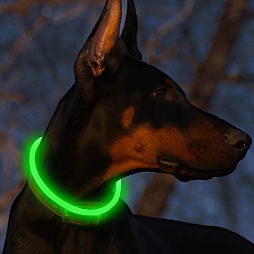 bseen led dog collar