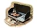 Century 5320 Deluxe Matchless Stove and Grill