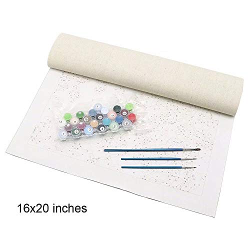 LIUDAO Oil Painting Without Frame Paint by Number Kit for Kids and