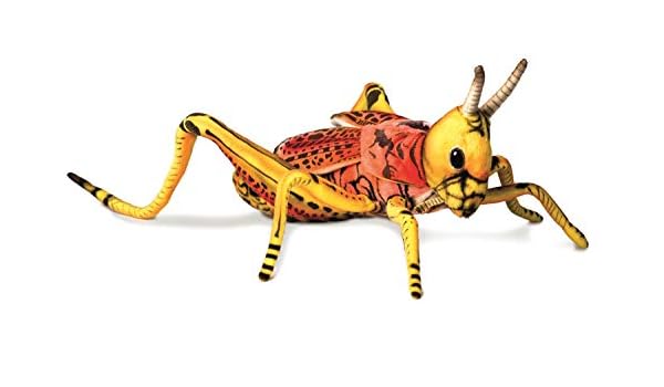 grasshopper stuffed animal