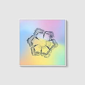 Framed Canvas Wall Art for Living Room, Bedroom Snowflake Theme Canvas Prints for Home Decoration Ready to Hang - 16x16 inches