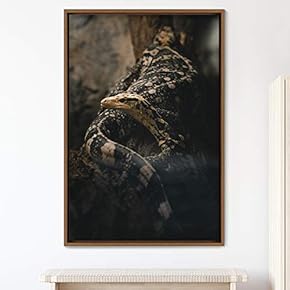 signwin Framed Canvas Wall Art Snake Contemporary Dramatic...