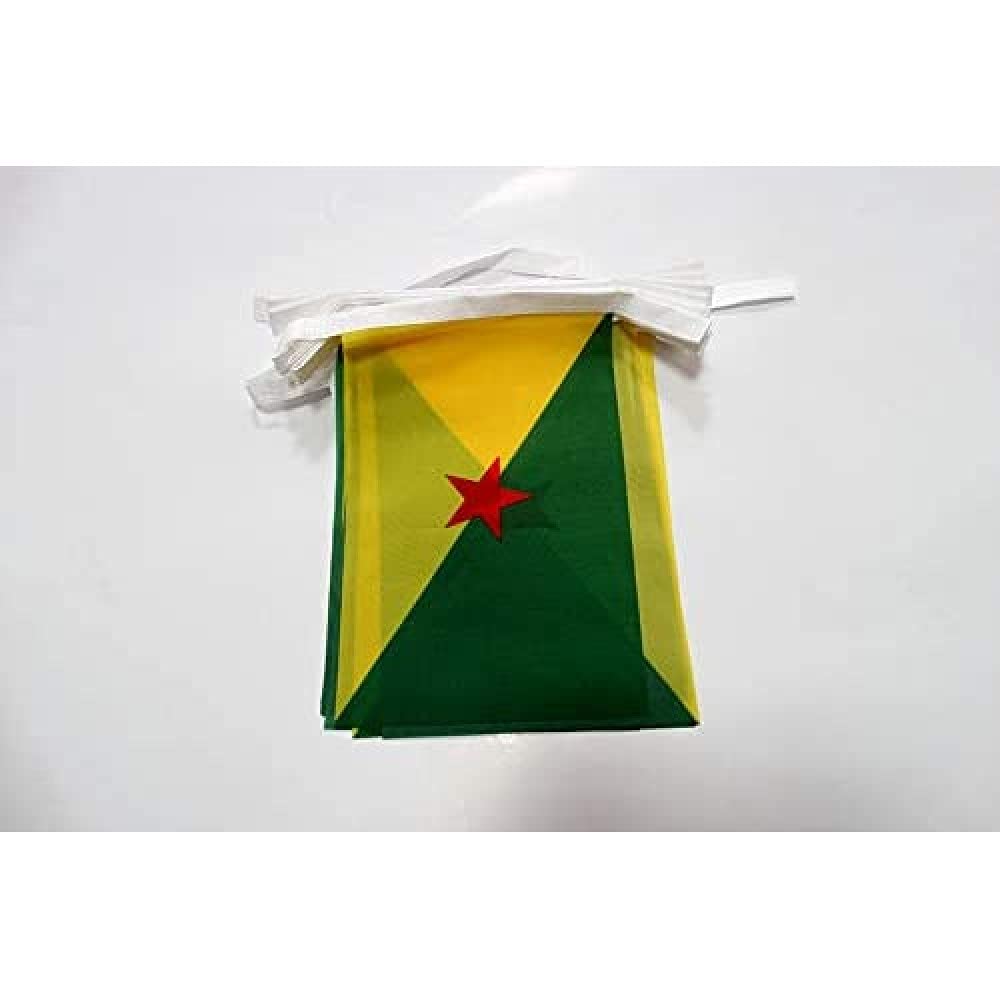 AZ FLAG French Guiana Bunting Flag, 20 Ft Garland 20 Small Guyane française Flags 8'' x 6'', 100% Polyester String Pennant, 6 meters — image 1