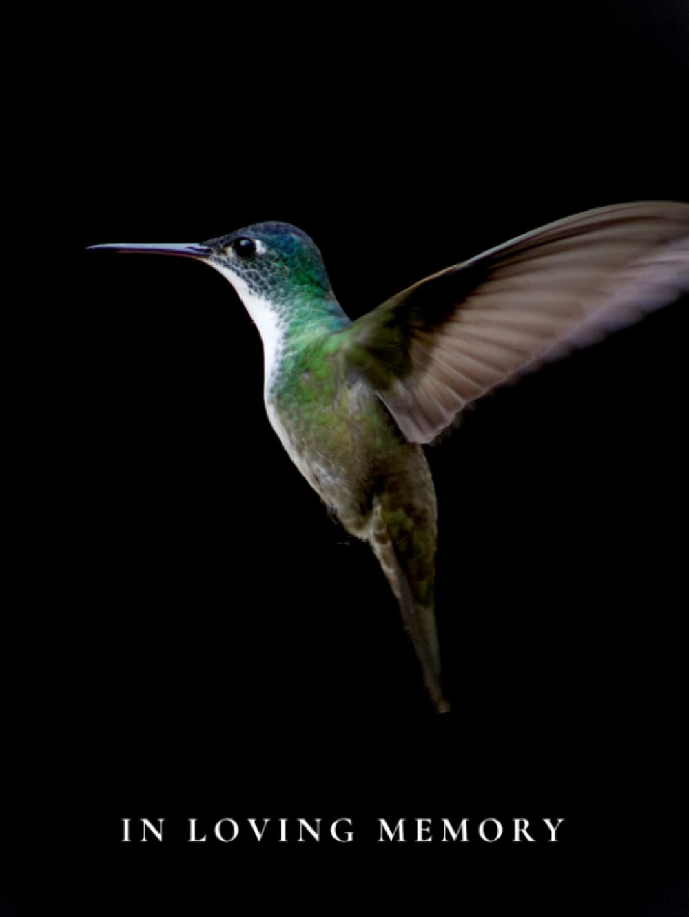 In Loving Memory: Black Funeral Guest Book for Memorial Service Hardcover with Green Hummingbird Design - 8.25" x 11" Hardback