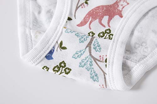 Kids Series Soft Cotton Panties Big Girls' Assorted Underwear (Pack of 6) Size 8