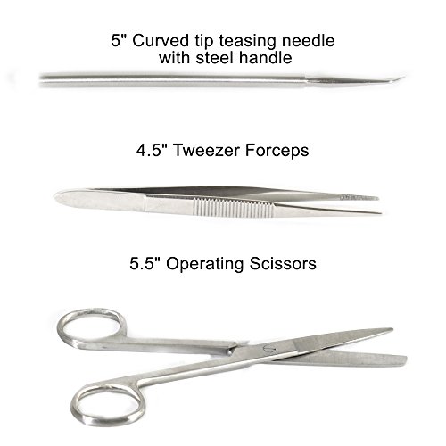22 Piece Advanced Training Dissection Kit