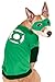 DC Comics Pet Costume, X-Large, Green Lantern