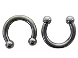 Large Classic Silver Steel Ball Horseshoe Earrings (10 Gauge) - Fashion Ear Plugs