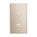 Sony NW-A45 16GB High-Resolution Digital Music Player Walkman Gold (International Version/Seller Warranty)