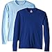 Hanes Performance Men's Long-Sleeve T-Shirt,Light Blue/deep Royal,L