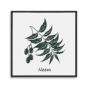 Framed Canvas Wall Art for Living Room, Bedroom Nordic Style Plants Theme Canvas Prints for Home Decoration Ready to Hang - 16x16 inches