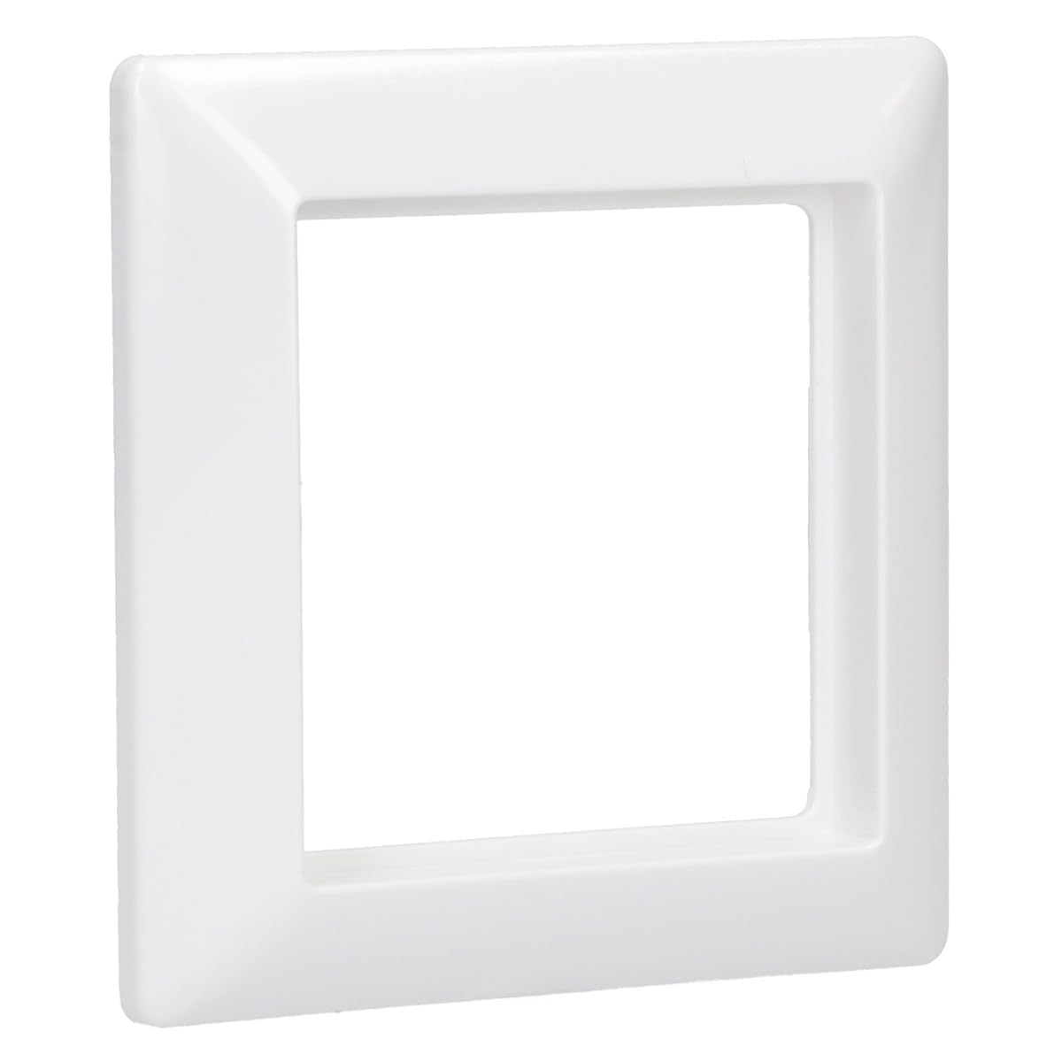 Jung AS581WW Frame for 1 Socket