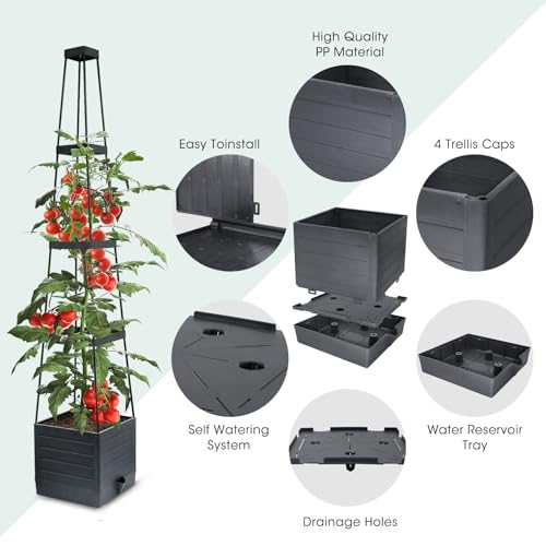 MYMULIKE 2 Pack Raised Garden Bed Planter Box with Trellis, 58” Tomato Cage Planter Raised Garden Bed with Trellis for Climbing Vegetables Plants Tomato Cage w/Self-Watering, Indoor Outdoor Use